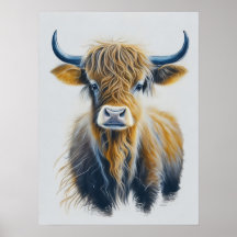 Vaca Highland de Escocia