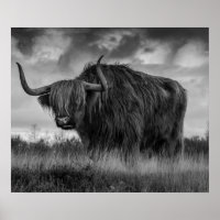 Vaca Highland Escocia Marrón Rústico monotono Post