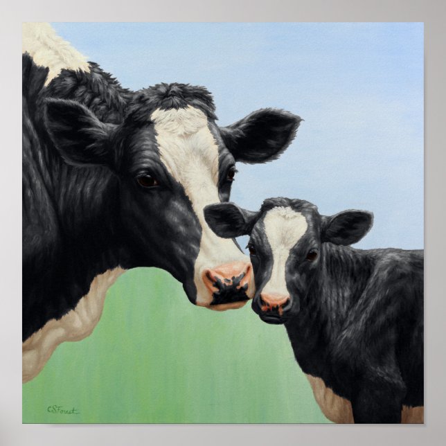 Póster Vaca Holstein Negra y Ternero Adorable (Frente)