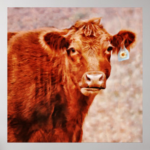 Póster Vaca roja de ángulos con identificación de margari