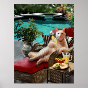 Póster Vacaciones divertidas del lujo del gato del poster