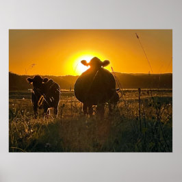 Póster Vacas al atardecer