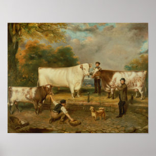 Póster Vacas con un ganadero