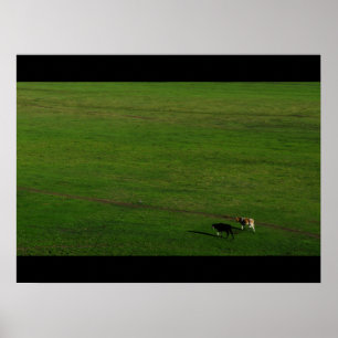 Póster Vacas de la Pastelería Panorámica