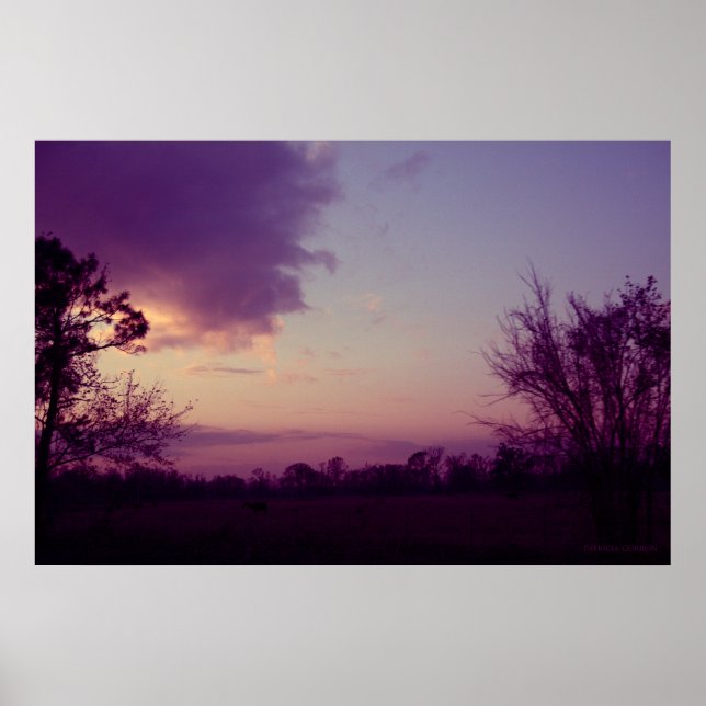 Póster Vacas en el campo (Frente)