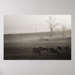 Póster Vacas en la niebla