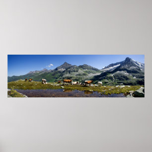 Póster Vacas En Las Montañas