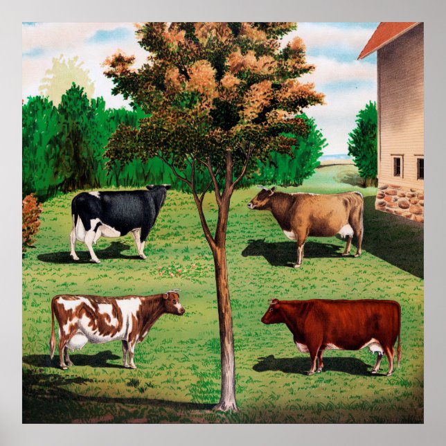 Póster Vacas Holstein, Jersey, Ayrshire y Shorthorn (Frente)