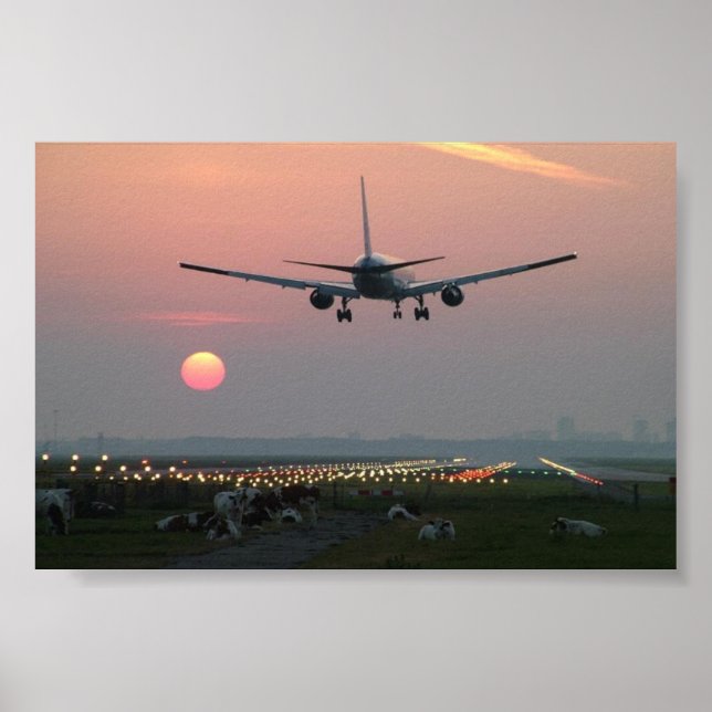 Póster Vacas y aviones (Frente)