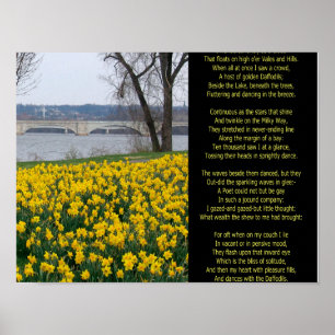 PÓSTER VAGUÉ SOLO COMO NUBE