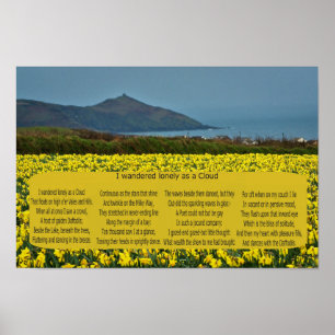 PÓSTER VAGUÉ SOLO COMO NUBE