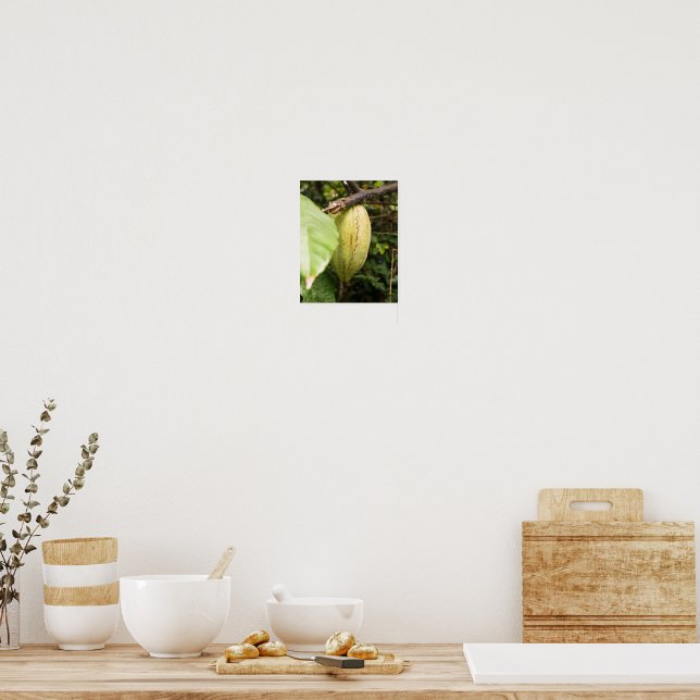 Póster vaina de cacao (Cocina)