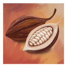 Vaina de cacao 