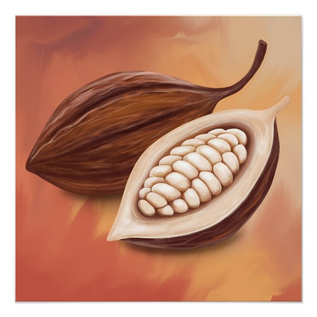 Póster Vaina de cacao  (Anverso)