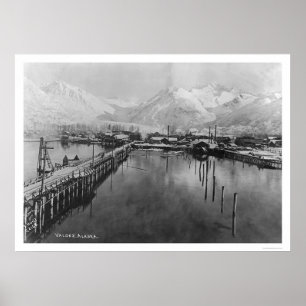 Póster Valdez, Alaska Birdseye 1905
