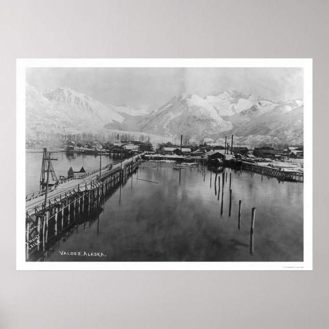 Póster Valdez, Alaska Birdseye 1905 (Frente)