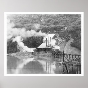 Póster Valdez, Alaska Gold Mining 1916