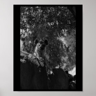 Póster Valenc Amantes de la Naturaleza Blanca Y Negra