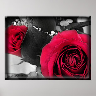 Póster Valentin
