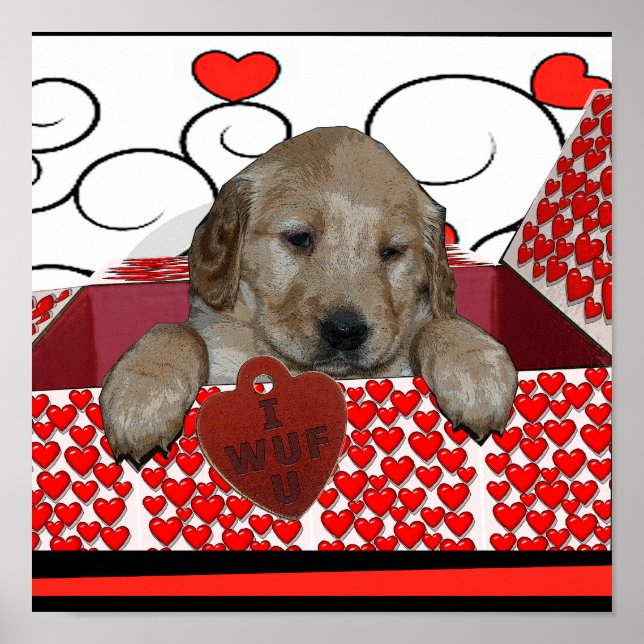 PÓSTER VALENTINE PUPPY - ¡TE QUERÍA! (TE AMO) POSTER (Frente)