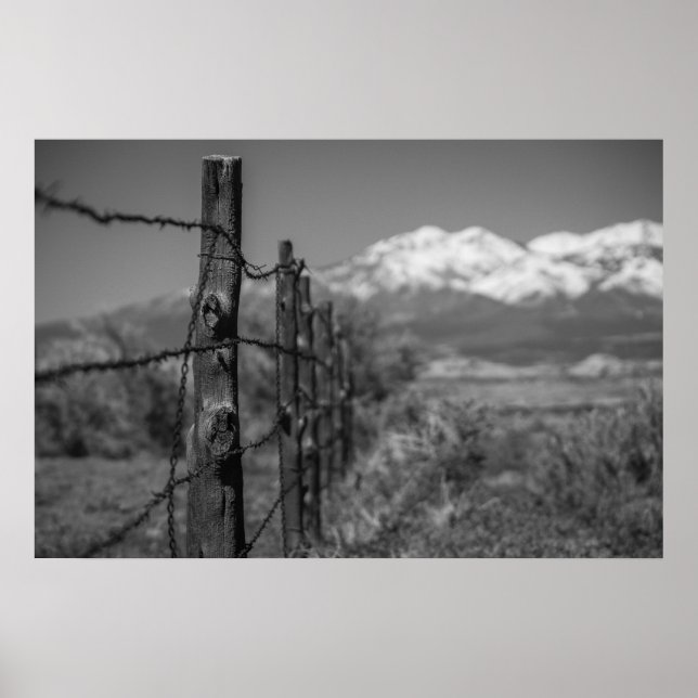 Póster valla (Frente)