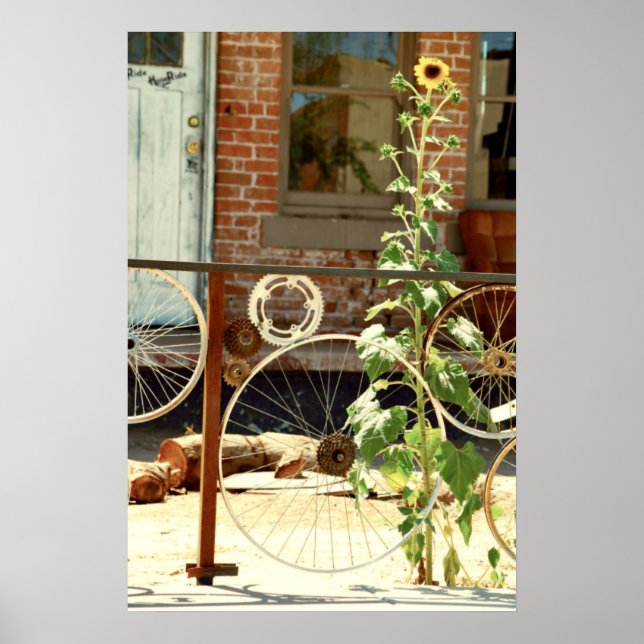 Póster Valla para bicicletas (Frente)