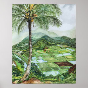 Póster Valle de Hanalei 16x20M