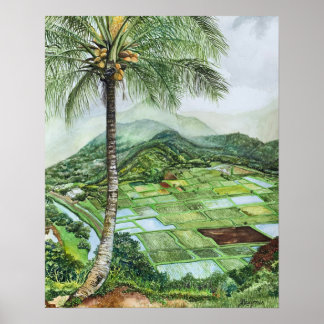 Póster Valle de Hanalei 16x20M