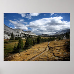 Póster Valle de Vogelsang - Yosemite