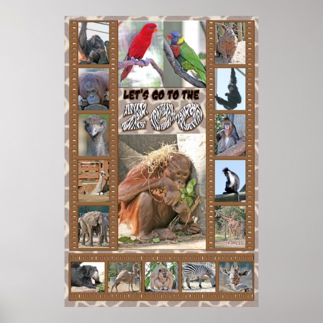 Póster Vamos al zoológico (Frente)