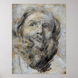 Póster Van Dyck - Cabeza de un apóstol