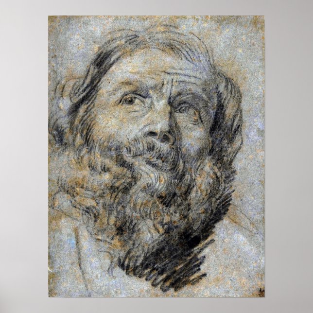 Póster Van Dyck - Cabeza de un apóstol (Frente)