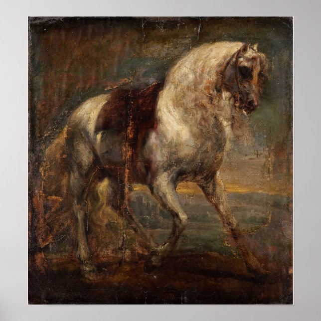 Póster Van Dyck - Un Caballo Gris (Frente)