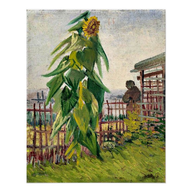 Póster Van Gogh - Adjudicación con girasol (Anverso)