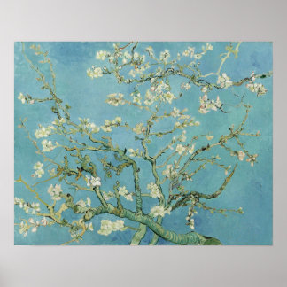 Póster Van Gogh - Almond Blossom