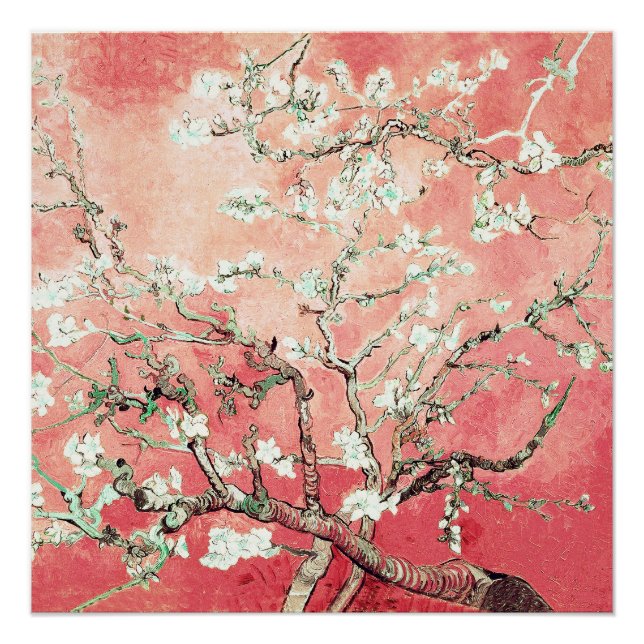 Póster Van Gogh Almond Blossoms Peach (Anverso)