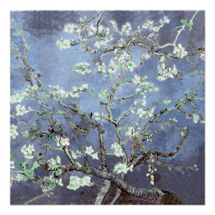 Póster Van Gogh Almond Blossoms Steel Blue