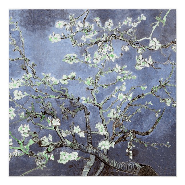 Póster Van Gogh Almond Blossoms Steel Blue (Anverso)