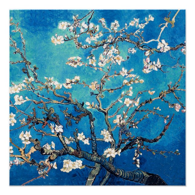 Póster Van Gogh Almond Blossoms turquesa brillante (Anverso)