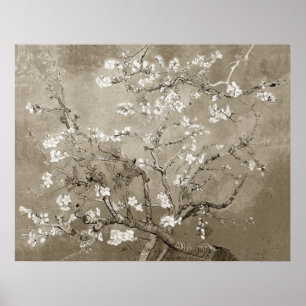 Póster Van Gogh Almond Brands en Bloom - Sepia