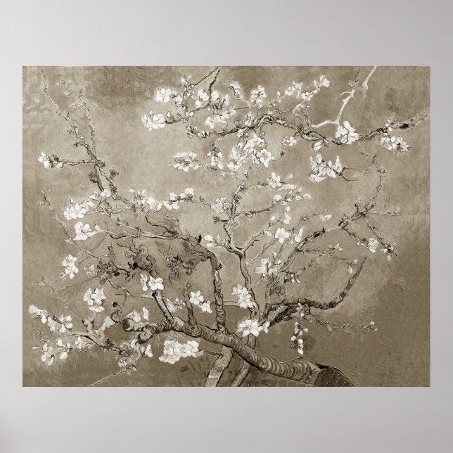 Póster Van Gogh Almond Brands en Bloom - Sepia (Frente)