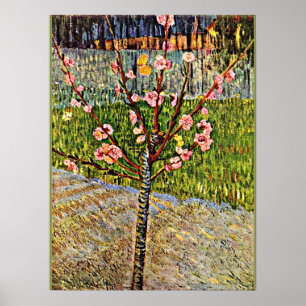 Póster Van Gogh - Árbol de almendros en Blossom, popular