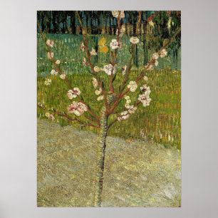 Póster Van Gogh - Árbol de almendros en flor