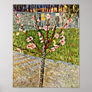 Póster Van Gogh - Árbol de almendros en flor
