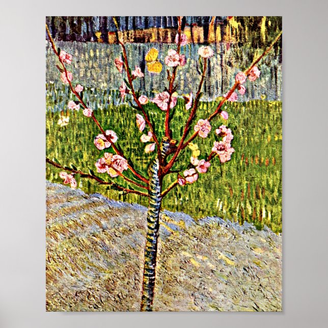 Póster Van Gogh - Árbol de almendros en flor (Frente)