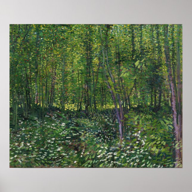 Póster Van Gogh - Árboles y sotobosque (Frente)