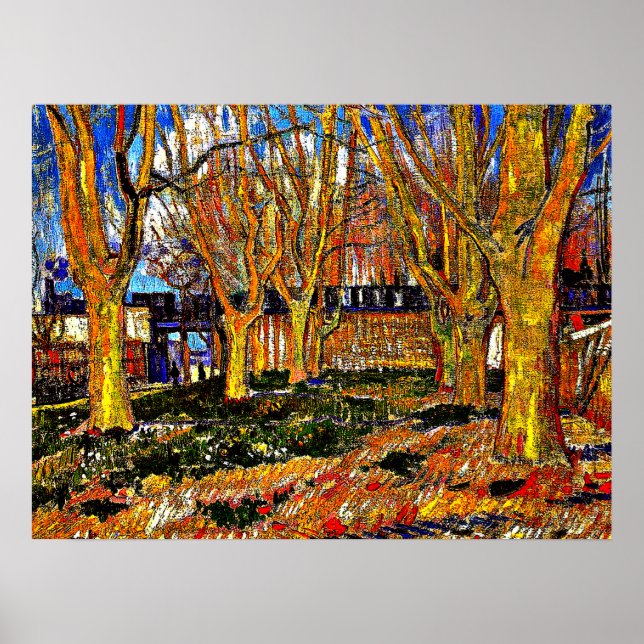 Póster Van Gogh - Avenida de los Árboles del Avión (Frente)