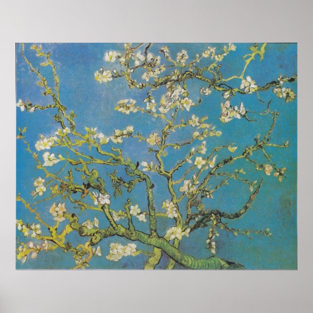 Póster Van Gogh Branches de la imprenta de almendros (Frente)