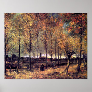 Póster Van Gogh - Camino con álamos