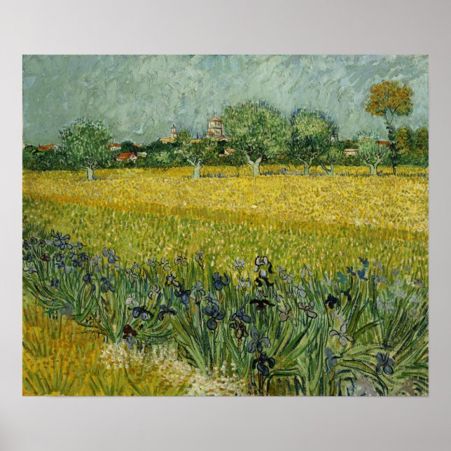 Póster Van Gogh - Campo Con Flores En Arles (Frente)